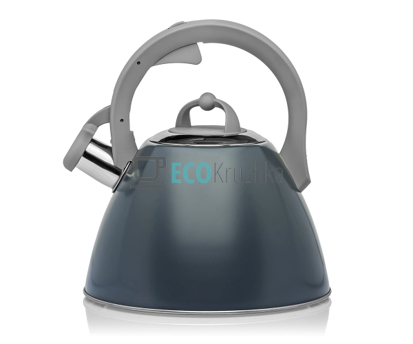 Чайник Ardesto Gemini, 2.5 л, сірий, нержавіюча сталь (A ... Чайник Ardesto Gemini, 2.5 л, сірий, нержавіюча сталь (A ...