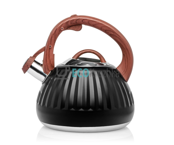 Чайник Ardesto Gemini, 2.5 л, чорний, нержавіюча сталь ( ... Чайник Ardesto Gemini, 2.5 л, чорний, нержавіюча сталь ( ...
