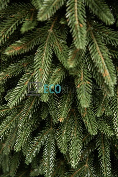 Штучна ялинка "Smereka" 2.3 м пишна новорічна ялинка 858 ... Штучна ялинка "Smereka" 2.3 м пишна новорічна ялинка 858 ...