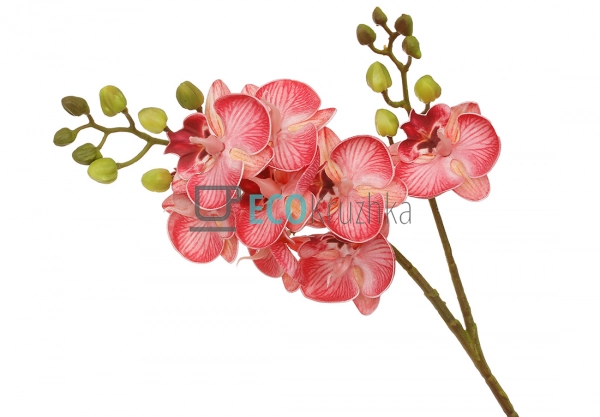 Штучна латексна орхідея, 8 квіток, розмір 16x60 см, яскр ... Штучна латексна орхідея, 8 квіток, розмір 16x60 см, яскр ...