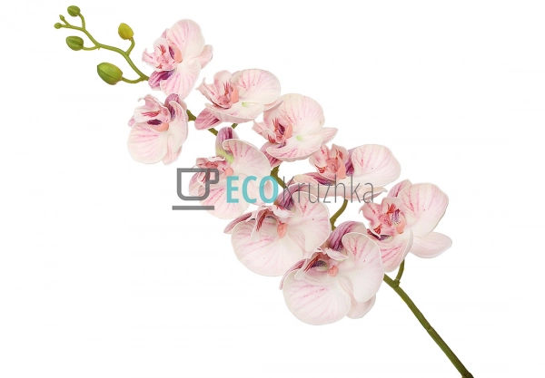 Штучна латексна орхідея, 9 квіток, 15x103 см, світло-буз ... Штучна латексна орхідея, 9 квіток, 15x103 см, світло-буз ...