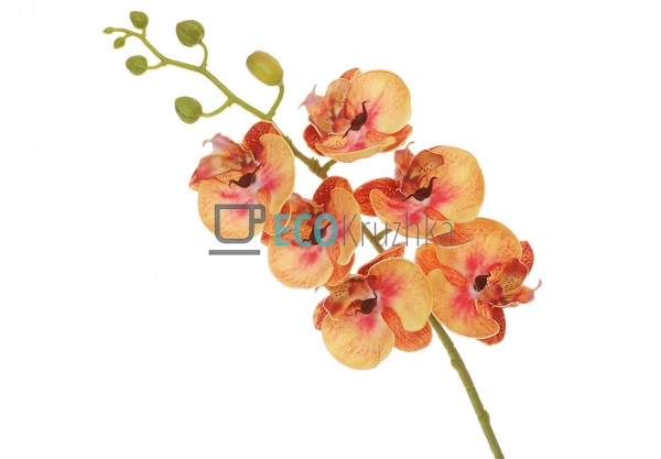 Штучна латексна орхідея, 6 квіток, 14x74 см, помаранчева ... Штучна латексна орхідея, 6 квіток, 14x74 см, помаранчева ...