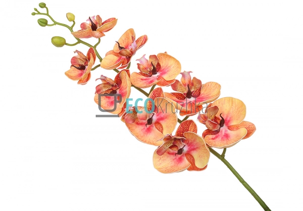 Штучна латексна орхідея, 9 квіток, 15x103 см, помаранчев ... Штучна латексна орхідея, 9 квіток, 15x103 см, помаранчев ...