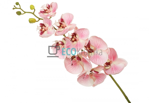 Штучна латексна орхідея, 9 квіток, 15x103 см, рожева (14 ... Штучна латексна орхідея, 9 квіток, 15x103 см, рожева (14 ...