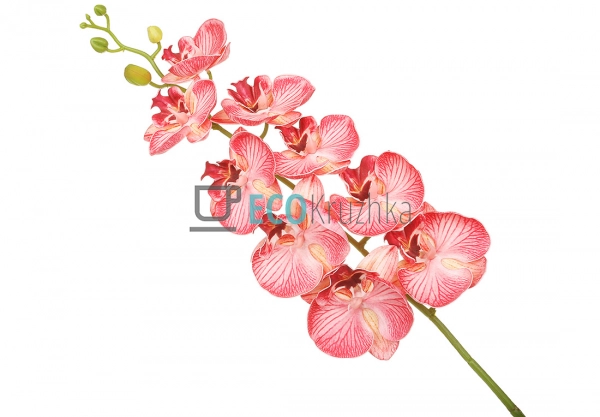 Штучна латексна орхідея, 9 квіток, 15x103 см, яскраво-ро ... Штучна латексна орхідея, 9 квіток, 15x103 см, яскраво-ро ...