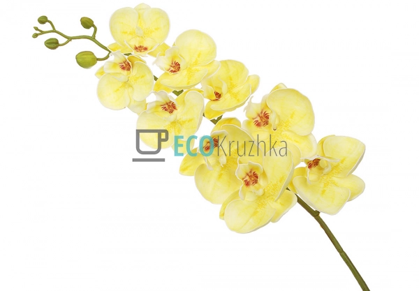 Штучна латексна орхідея, 9 квіток, 15x103 см, жовта (140 ... Штучна латексна орхідея, 9 квіток, 15x103 см, жовта (140 ...