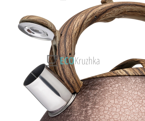 Чайник зі свистком з нержавіючої сталі бакалія кришка ко ...