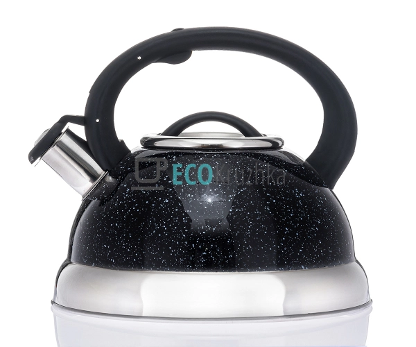 Чайник 3 л з нержавіючої сталі зі свистком і нейлонової ручкою для індукції і газу Maestro Чорний MR-1313-C